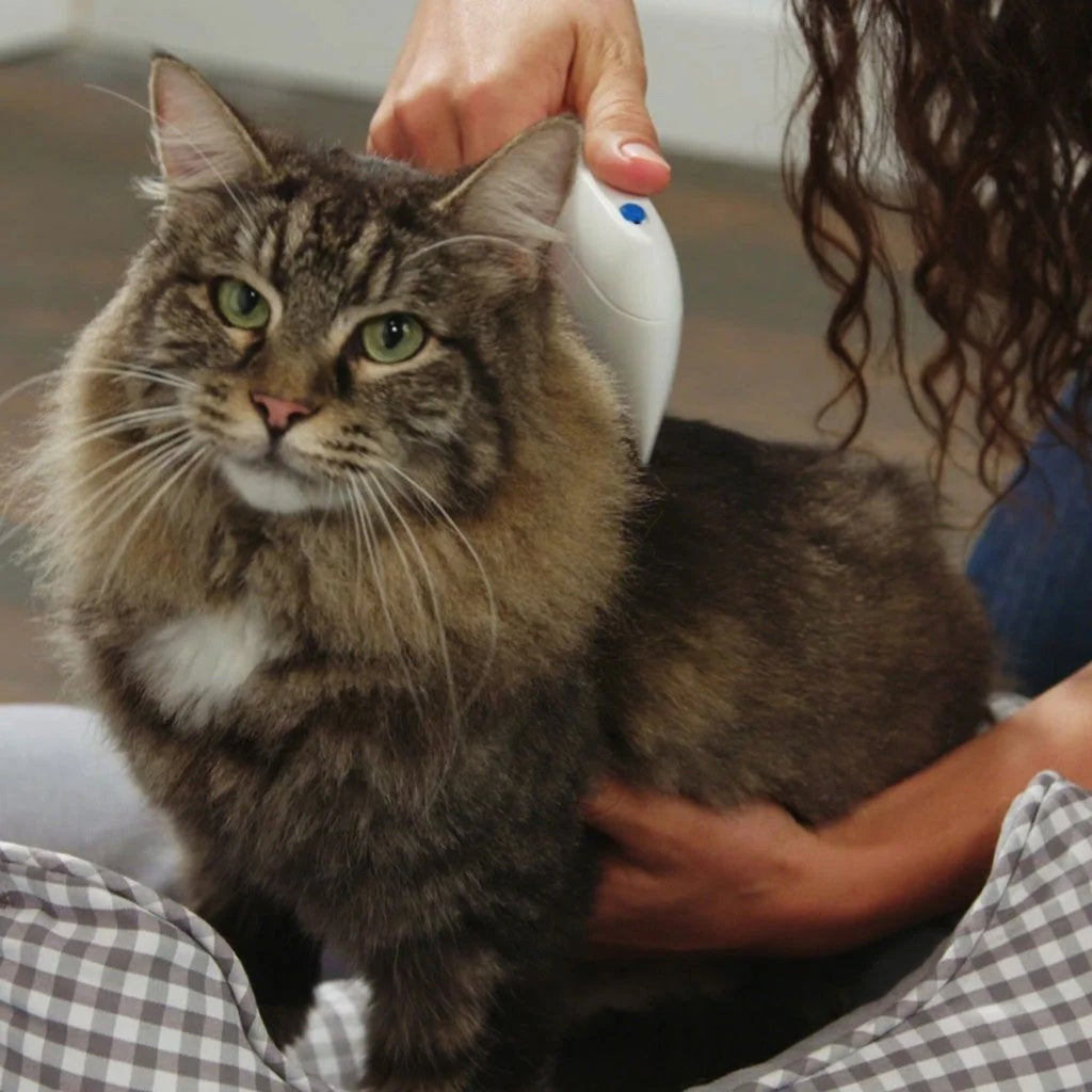 Cepillo Eléctrico Mascotas Mata Pulgas Gatos Perros Pilas