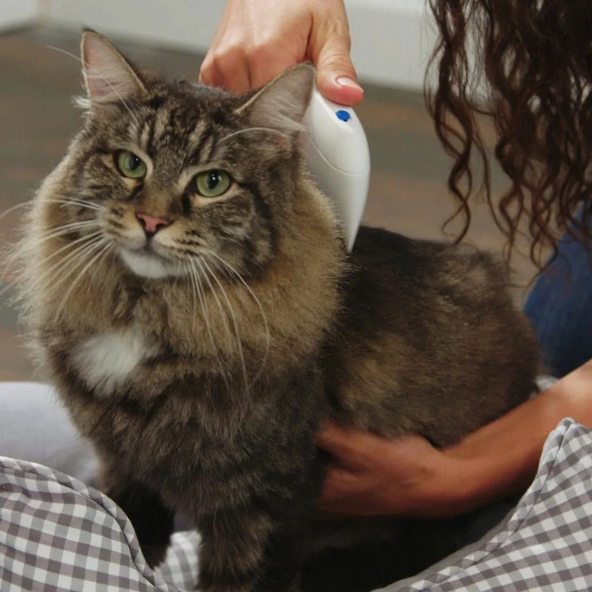 Cepillo Eléctrico Mascotas Mata Pulgas Gatos Perros Pilas