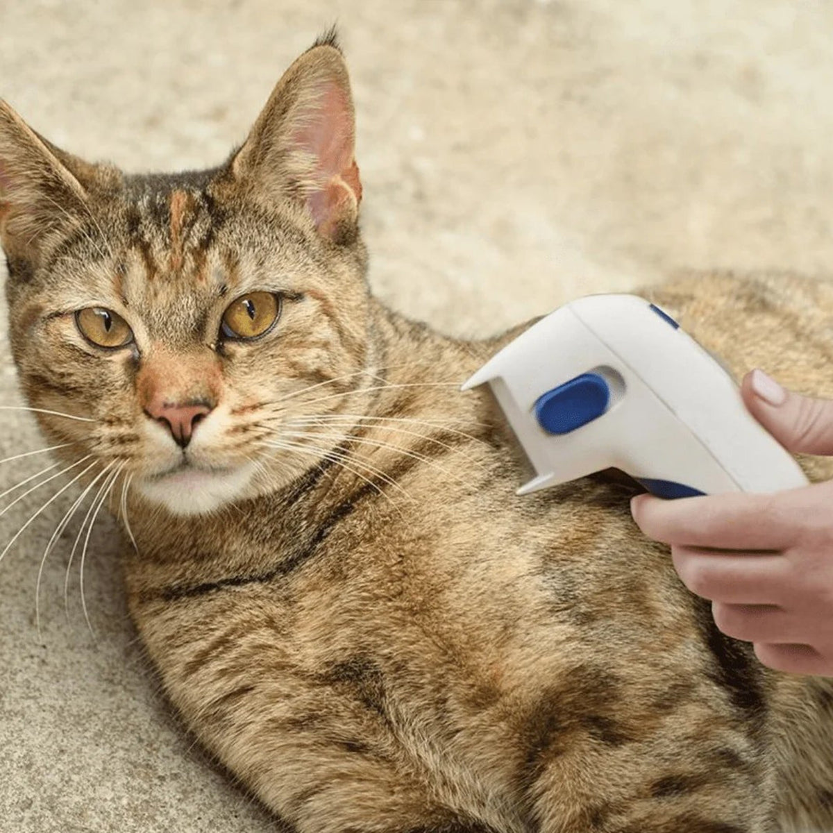 Cepillo Eléctrico Mascotas Mata Pulgas Gatos Perros Pilas