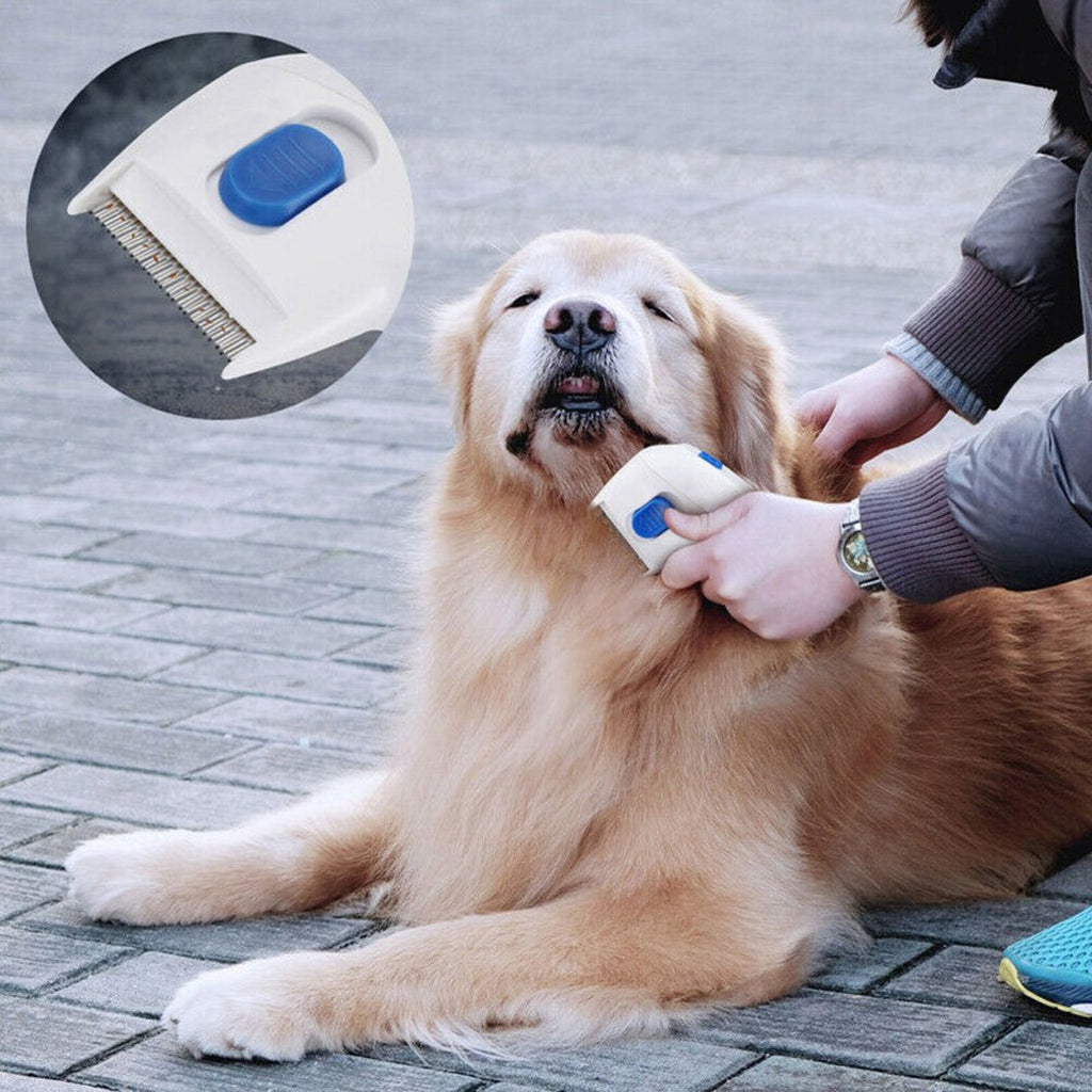 Cepillo Eléctrico Mascotas Mata Pulgas Gatos Perros Pilas
