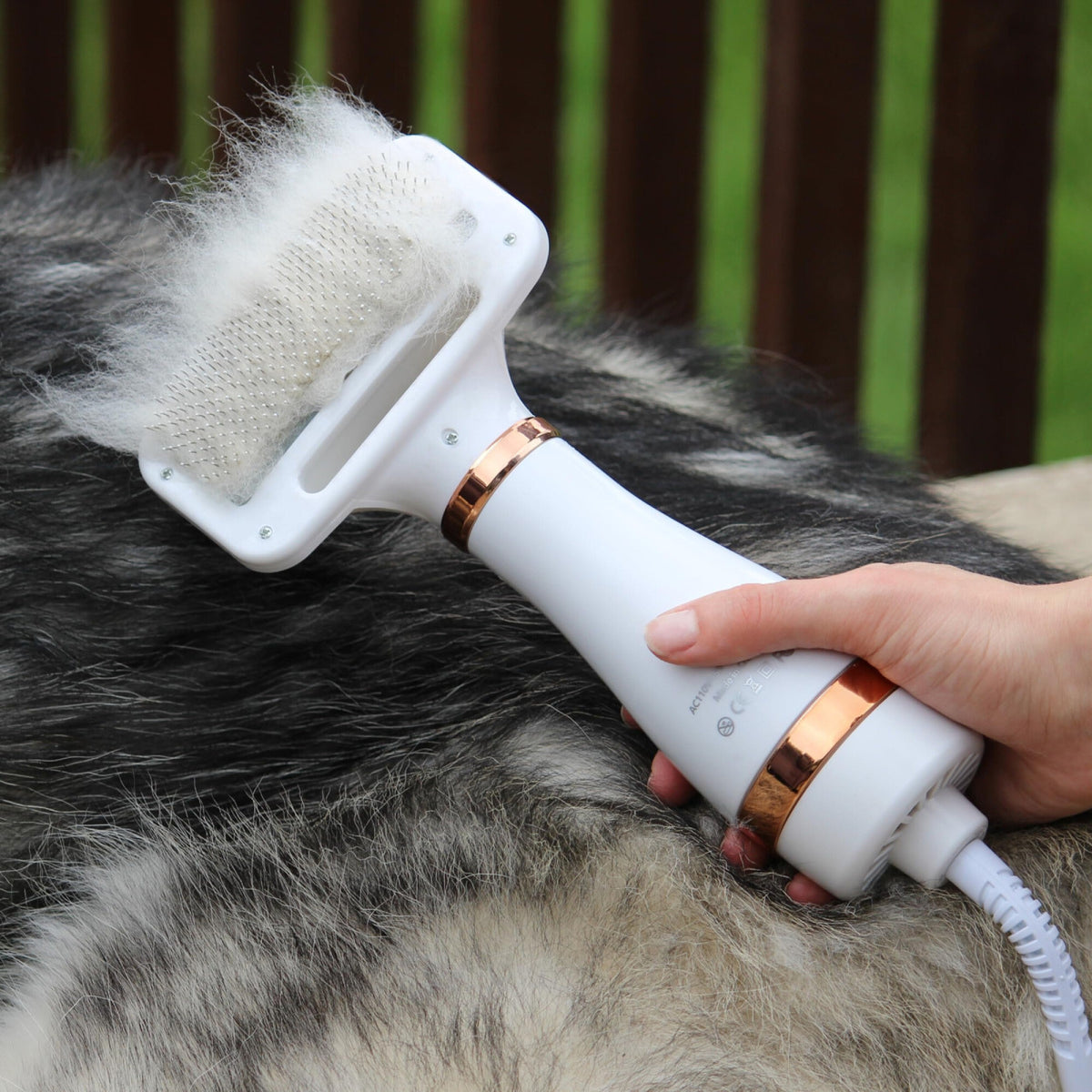 Cepillo Secador De Pelo Perro Gato Mascotas Peine 300w