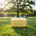 Conservadora Hielera Vintage 12L Litros Latas Hielo Polarbox
