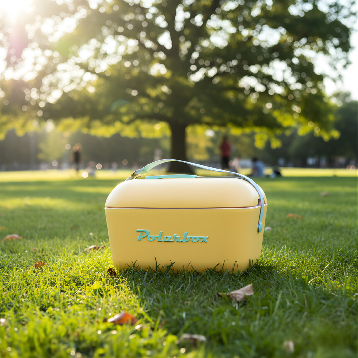 Conservadora Hielera Vintage 12L Litros Latas Hielo Polarbox
