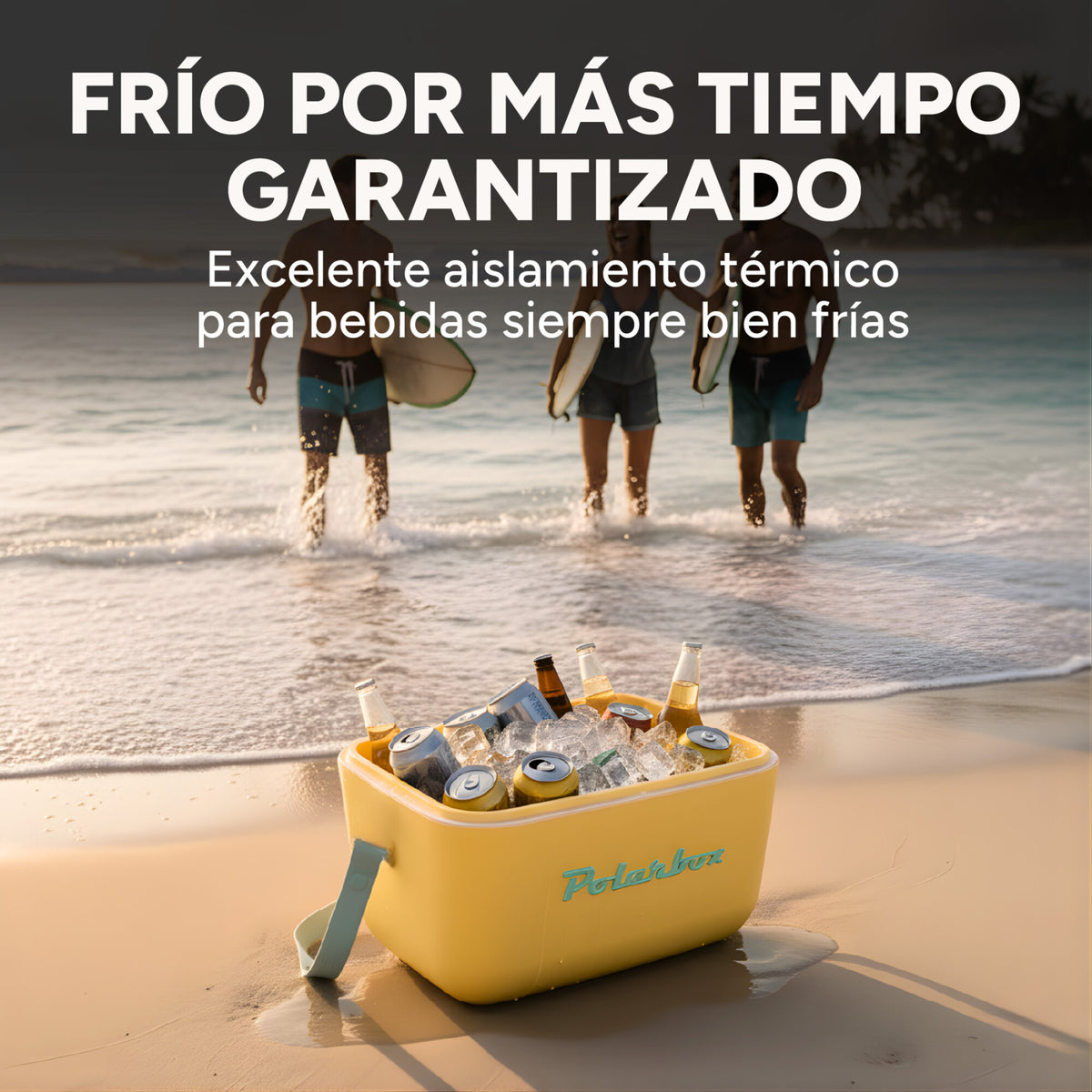 Conservadora Hielera Vintage 12L Litros Latas Hielo Polarbox