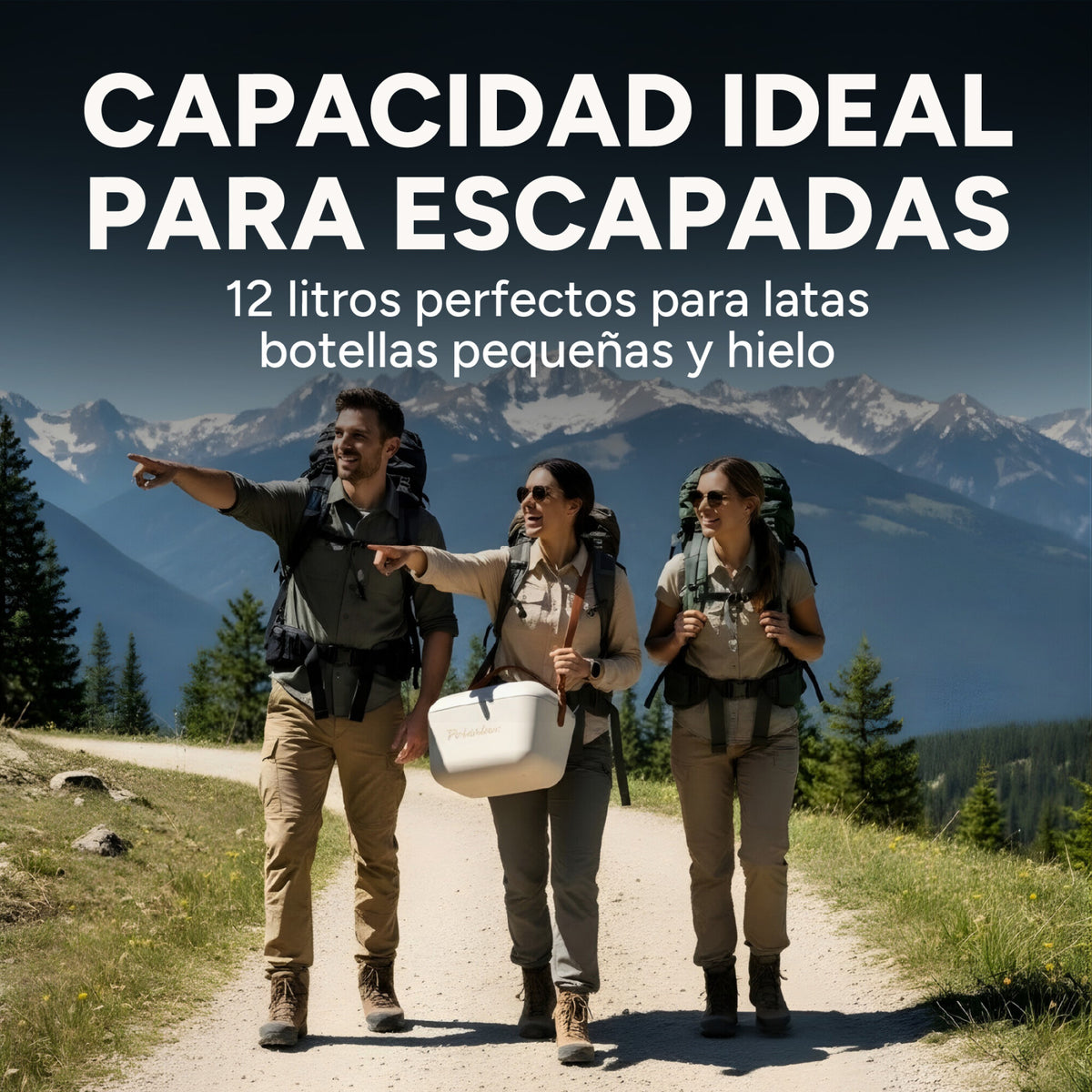Conservadora Hielera Vintage 20L Litros Latas Hielo Polarbox