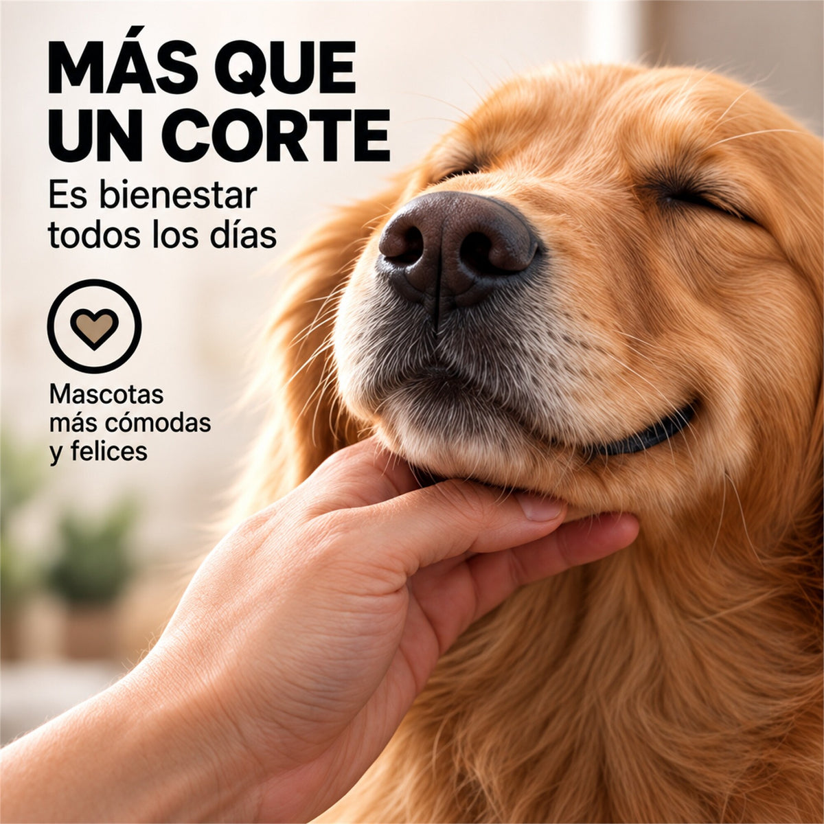 Cortapelo Mascotas con 4 Peines