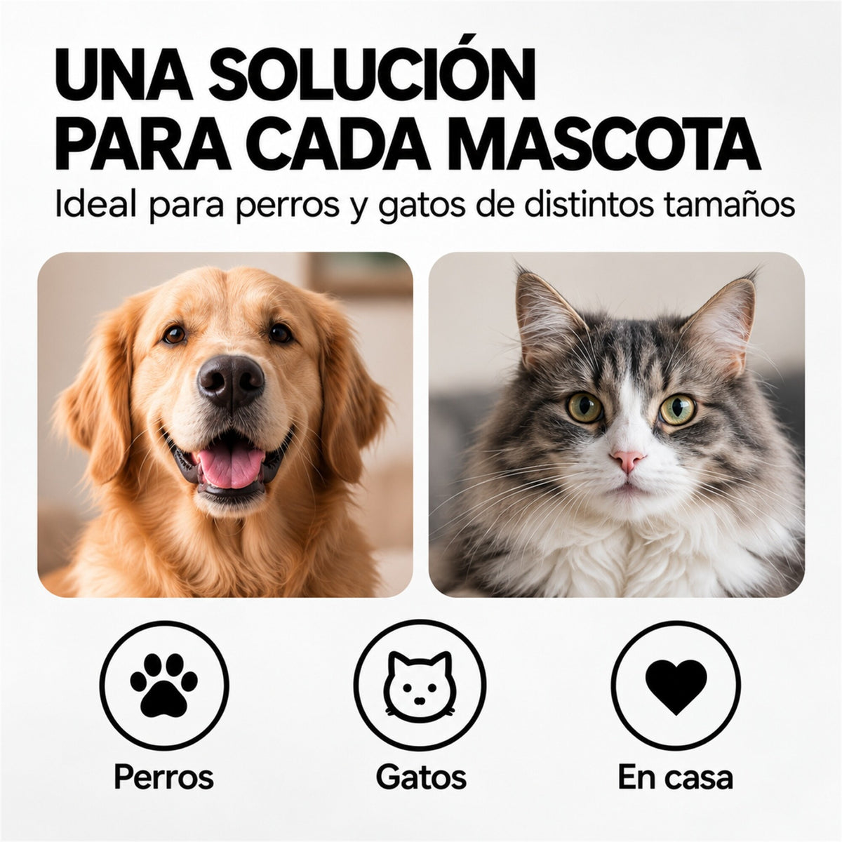 Máquina Corta Pelo Mascota USB-C