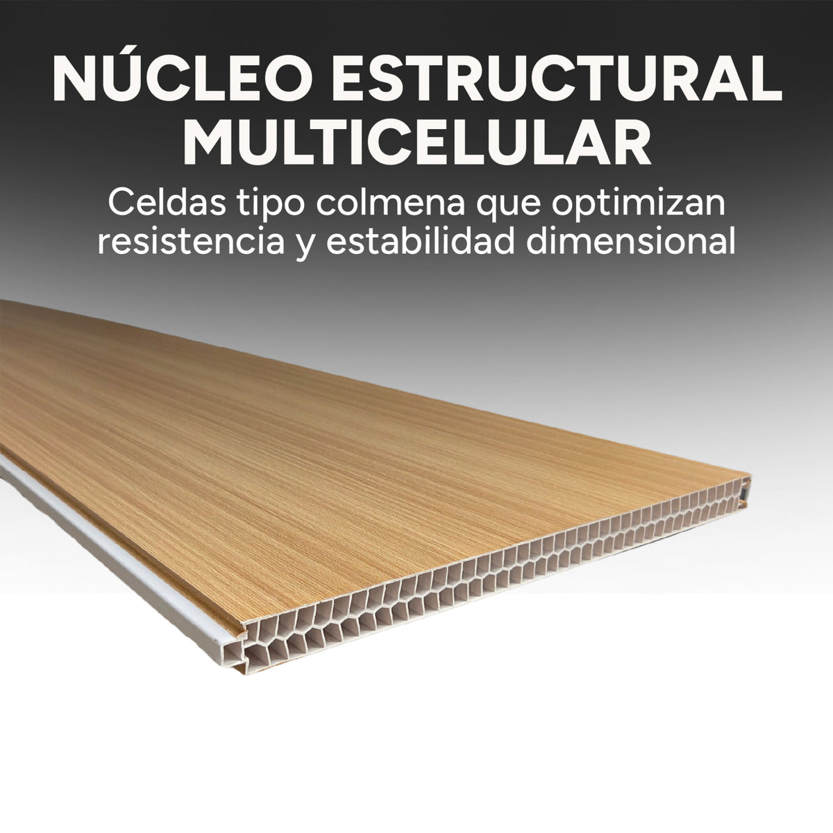 Panel Divisor Separador Ambientes 2,4 x 2,90m + 2 Rieles 3m
