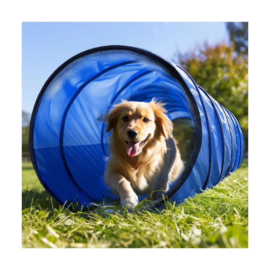 Tunel Gigante Perro Gato Mascota Redondo Tubo Interactivo