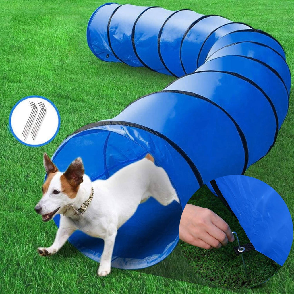 Tunel Gigante Perro Gato Mascota Redondo Tubo Interactivo